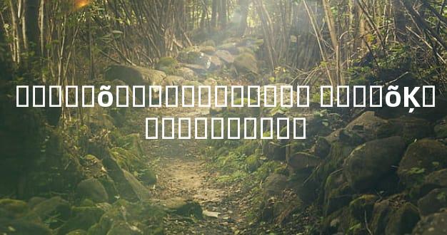 �ǳ��ѵõ�ʮ���������� ���˺õĶ�����������